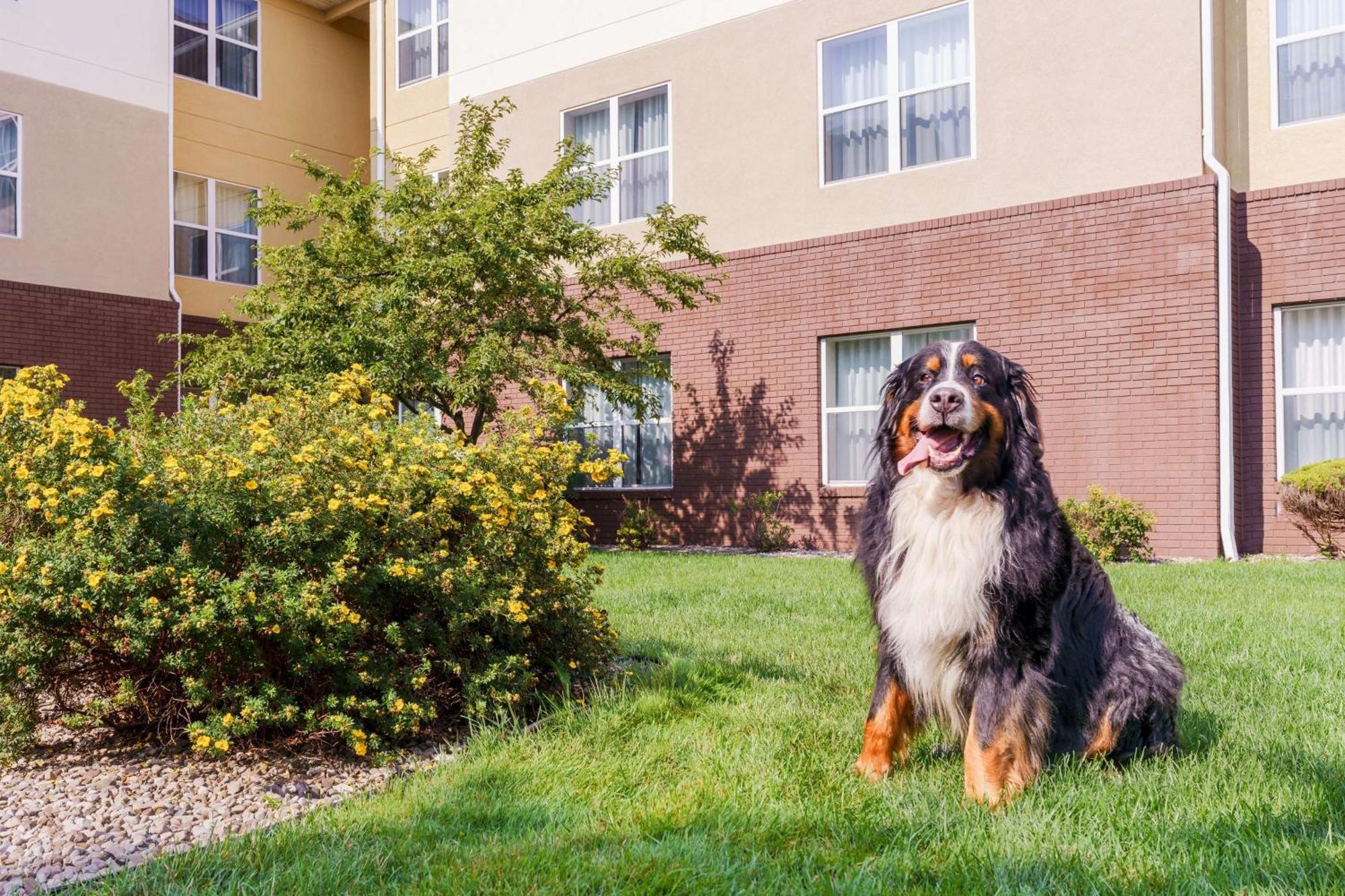 Homewood Suites Rochester-Henrietta Luaran gambar